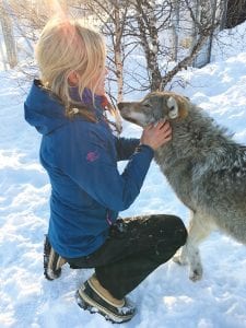 Kiss of the Arctic Wolf Tour norway