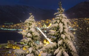 View of lit up Tromsø city and bridge from behind snow-covered Christmas trees in Tromsø, Arctic Norway