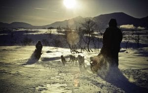 Two dog sleds and drivers with backs facing camera moving on zigzag trail into distance with sun shining towards camera in Arctic Norway