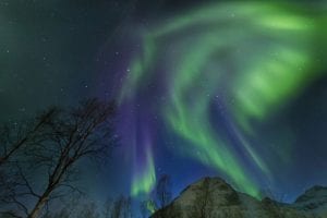 Northern Lights Aurora Borealis in the sky with a mountain and trees and stars