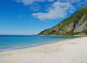 Hamn i Senja Archipelago green fjord near sea side with sand and clouds